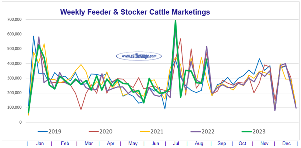 Feeder & Stocker Cattle Marketings for the week ending 8/26/23