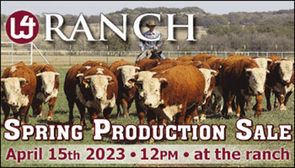 SS-W4 Ranch Spring Production Sale-04-15-2023