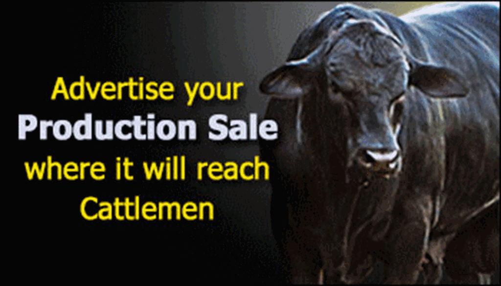 Advertise an Upcoming Sale