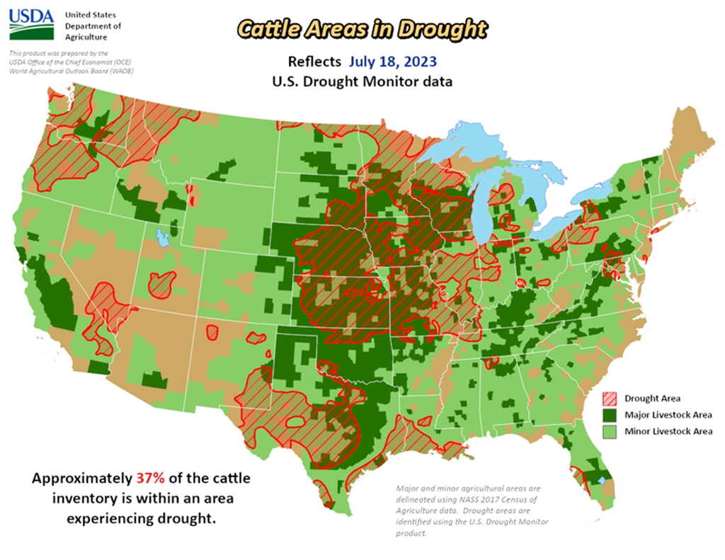 Cattle Areas Experiencing Drought