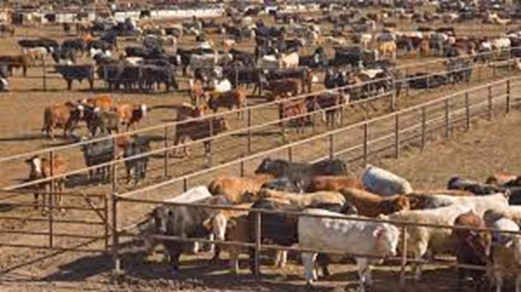 EPA rejects call for CAFO Reform