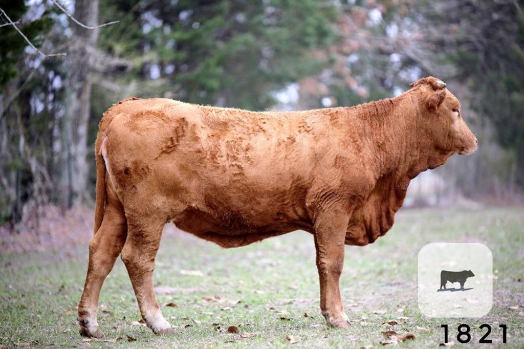 Cattle Range Listing Photo 4