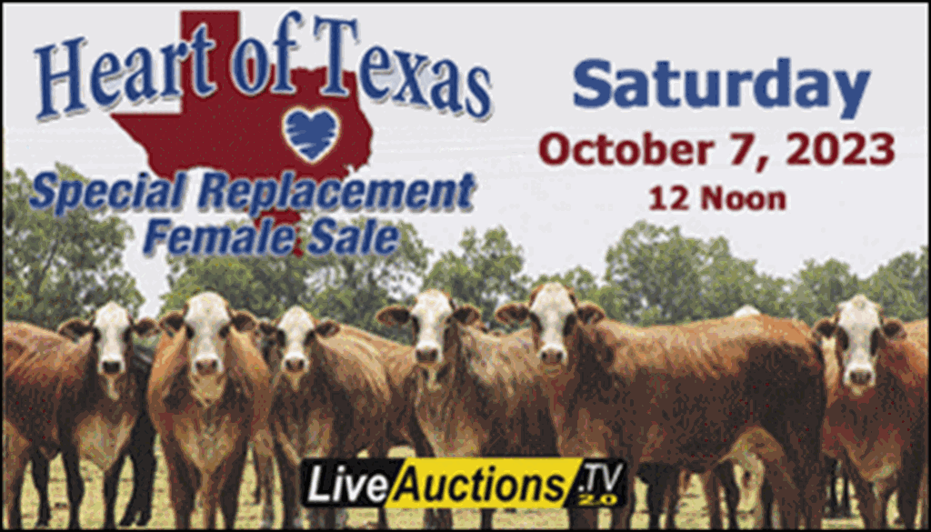 Heart of Texas Replacement Female Sale (1)