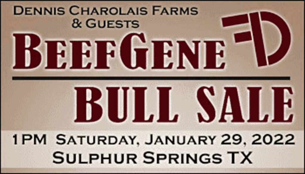 SS-Dennis Charolais Farms & Guests Beef Gene Bull Sale-01-29-2022